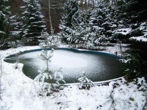 Das Schwimmbecken auf dem Grundstück in Basdorf